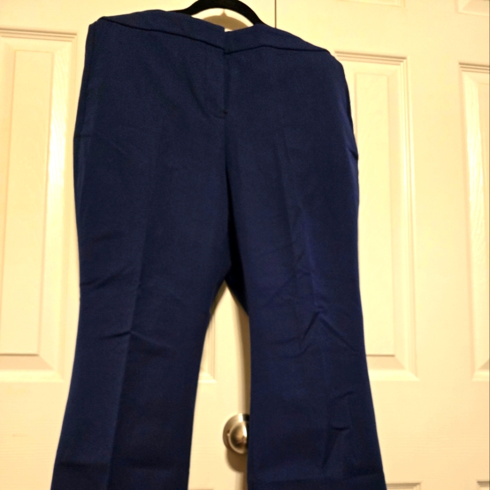 J Crew Blue Kelsey Pants Size 14